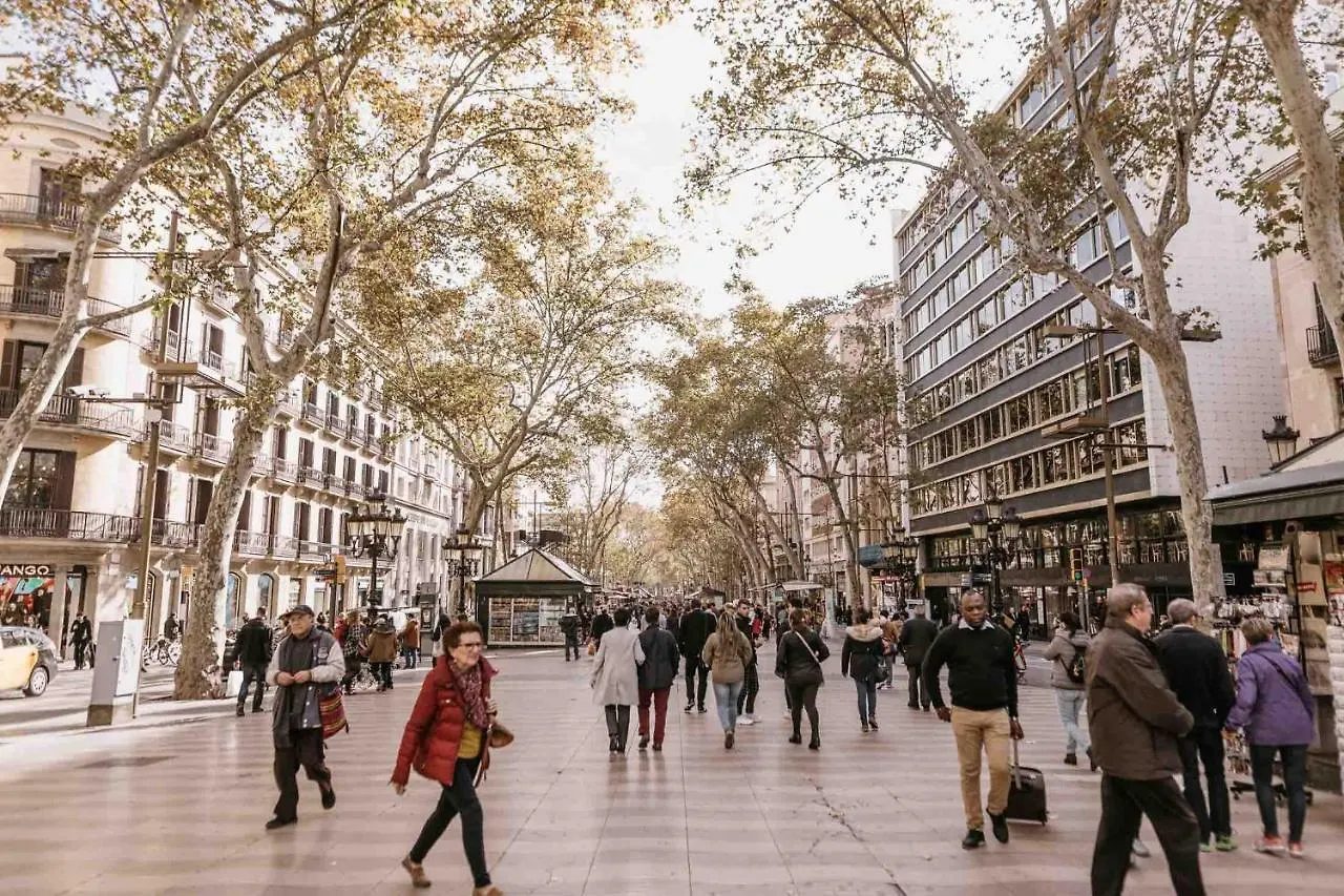 Pension 45 Barcelona 0*,